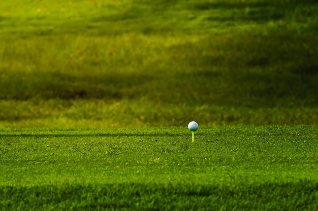 Photo golf ball on field