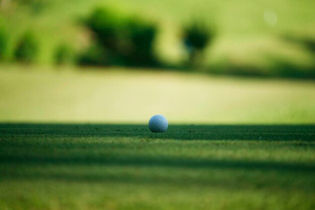 잔디 위 에 있는 골프 공