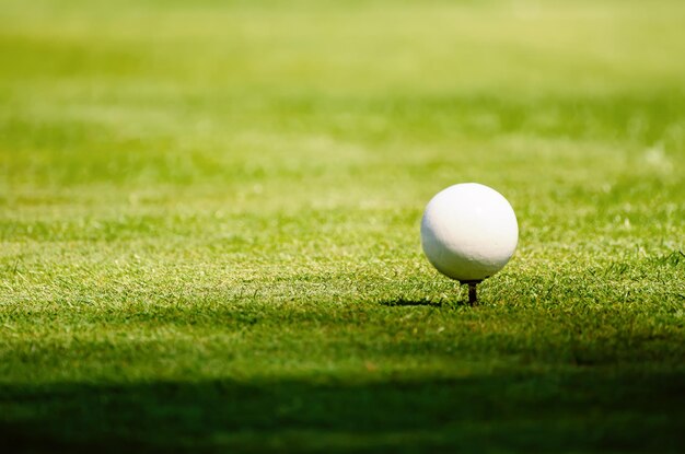 Golf ball on grass