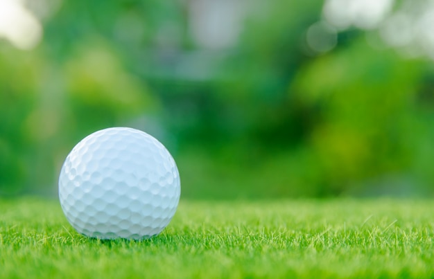 Golf ball on green grass ready to play at golf course. 