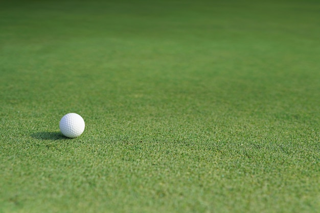 Sfera di golf su un'erba verde con lo spazio in bianco della copia