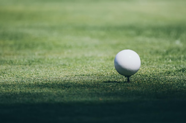 Golf ball on the green lawn background, sunny natural sport\
image. competition, achivement and target concept.
