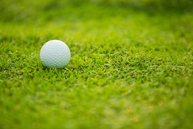 Мяч для гольфа на зеленом