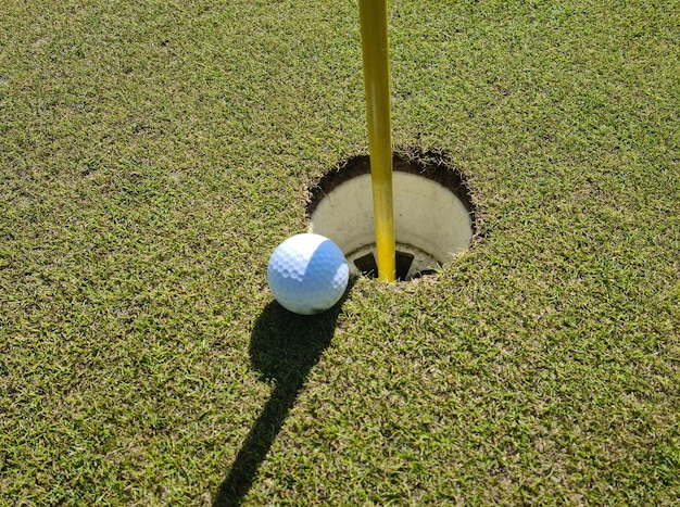 Golf ball in the hole on the golf course