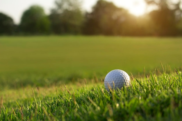 Golf ball is on a green lawn in a beautiful golf course