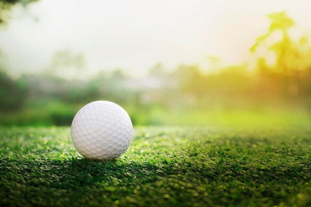 Golf ball is on a green lawn in a beautiful golf course