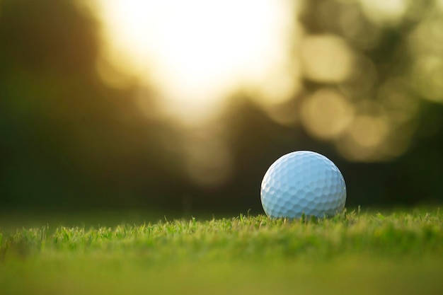 La pallina da golf si trova su un prato verde in un bellissimo campo da golf