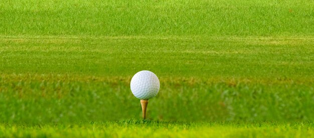 La pallina da golf si trova sul prato verde.