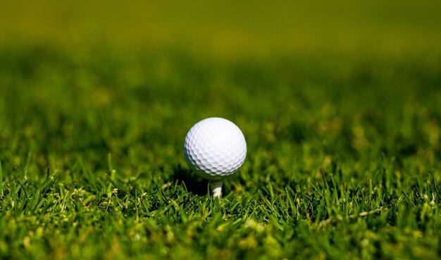 Golf ball is on tee on green grass background golf ball closeup\
in soft focus at grass sport golf background with copy space