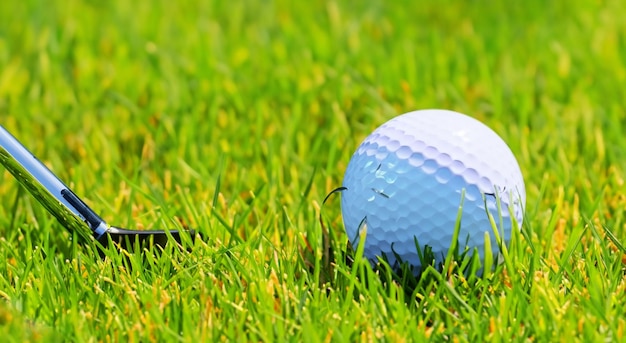 golf ball on a large green field