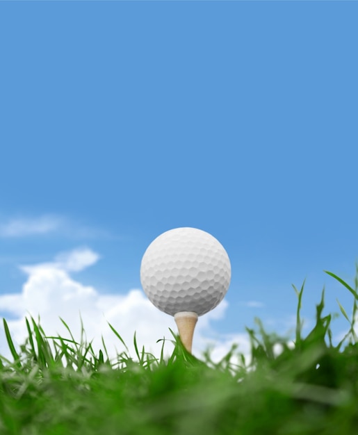 Фото Мяч для гольфа на тройник на поле для гольфа