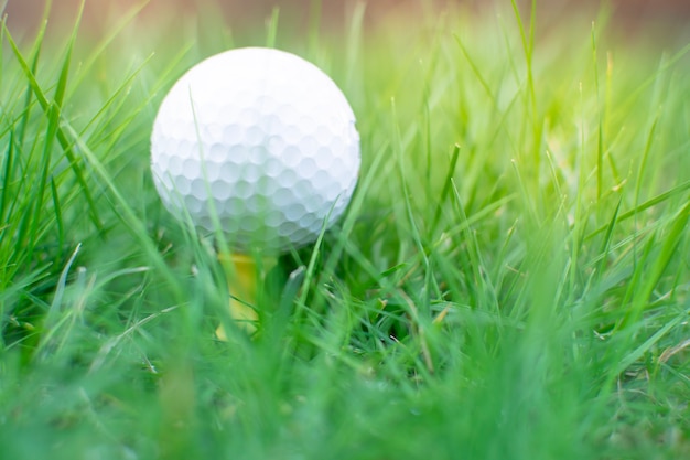 Photo golf ball place on the long green grass field