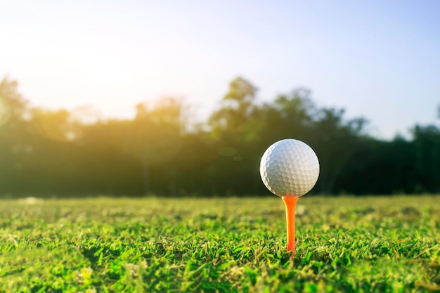 Golf ball on tee in a beautiful golf course with morning sunshine