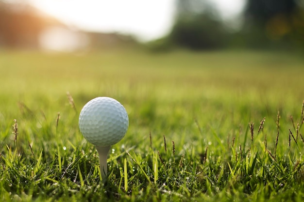 Мяч для гольфа на тройнике на красивом поле для гольфа с утренним солнцем