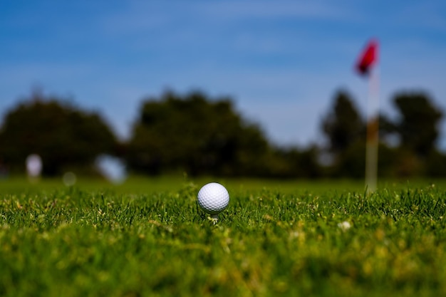 Golf ball on tee in golf course with green background golf\
ball