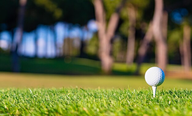 Golf ball on a tee on the grass before the first shot