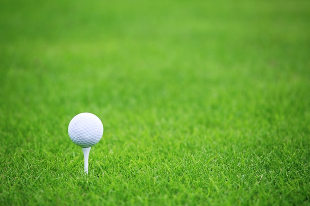 Мяч для гольфа на тройнике на зеленой траве поля для гольфа