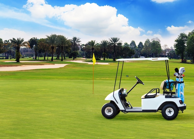 Golf ball on tee on green grass, golf court