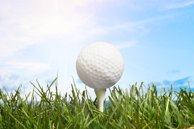 Golf Ball on tee on green grass