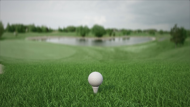 golf ball with a club on the field