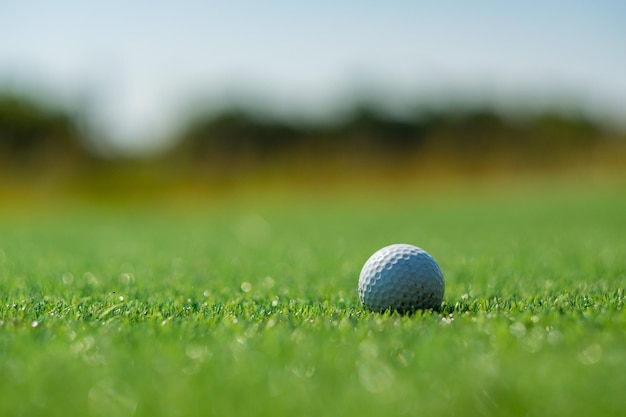 Golf balls on artificial grass with blur background