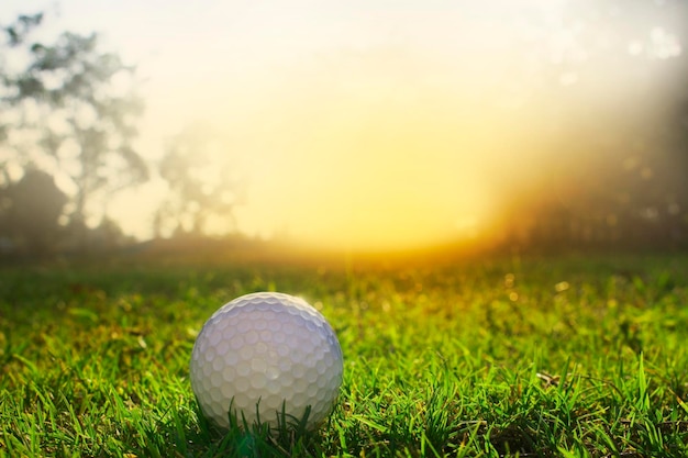 美しいゴルフコースの緑の芝生の上のゴルフボール