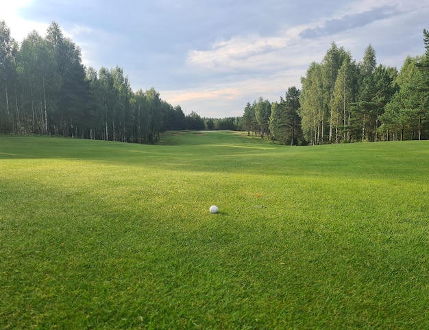 写真 ゴルフ場の緑の芝生の上のゴルフボール