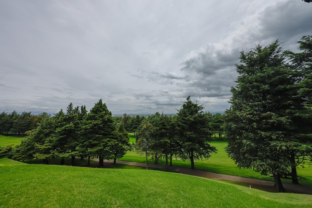 Photo golf camp landscape