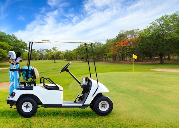 Foto golf cart sul bellissimo campo da golf