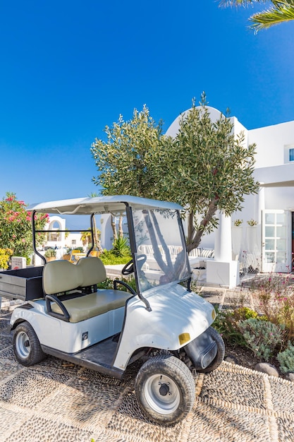 The Golf cart is parked next to a flower bed. The electric car is located near the tourist hotel