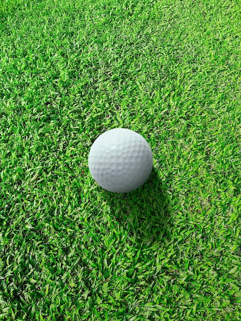 Golf club ball on the green course close up top view sport
relax recreation and leisure concept