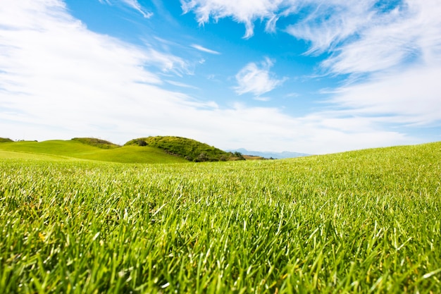 Campo da golf a belek. erba verde sul campo cielo blu, soleggiato