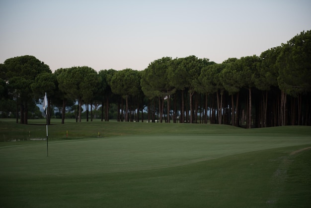 golf course landscape at beautiful fresh morning  sunrise