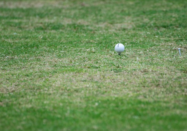 Golf equipment, golf ball with tee on course