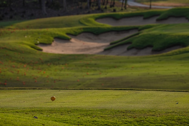 golf field summer landscape