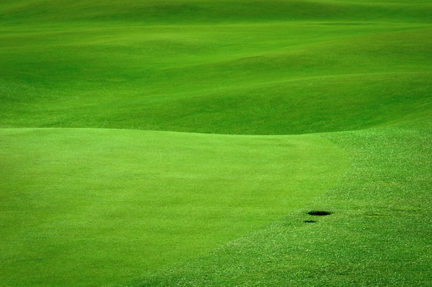 Golf field with a ball hole