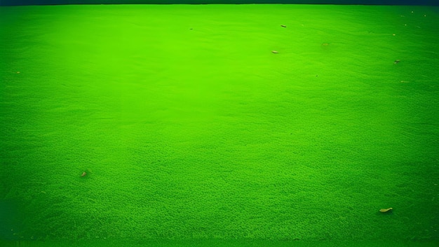 Golf Field