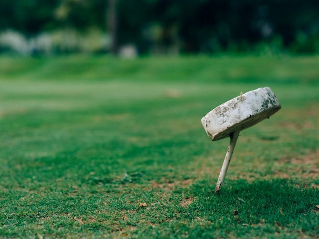 Golf gaten symbool op het groene veld