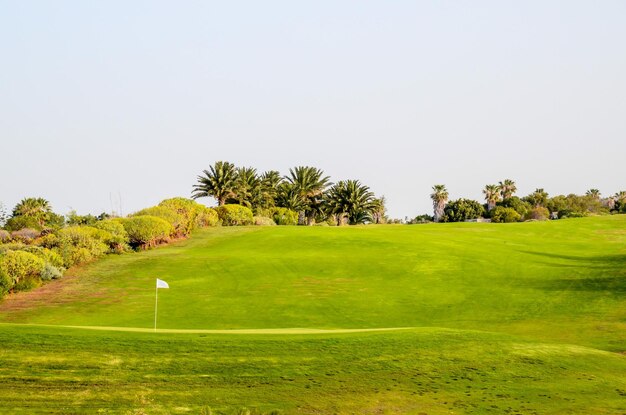 Golf Groen grasveld in een tropisch klimaat