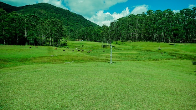 Golf Ground at Hill station