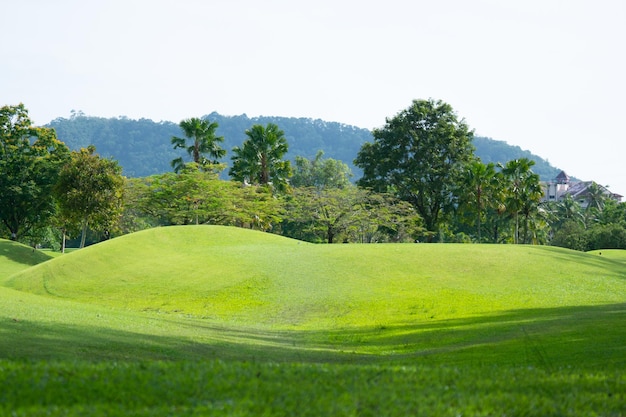 Golf park green background