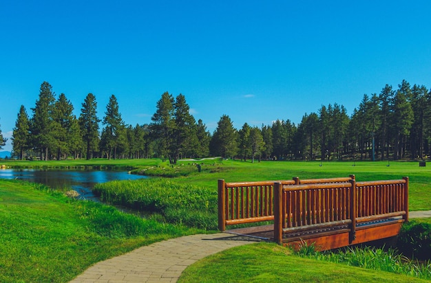 Foto golfbaan bridge pond