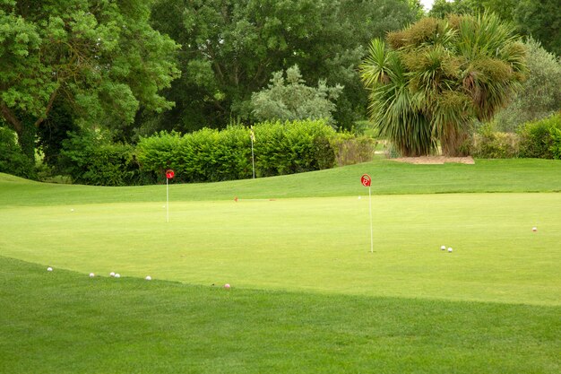 Golfbaan met bomen, ballen en haringen