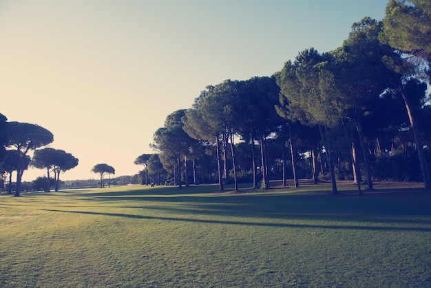 golfbaanlandschap bij mooie frisse ochtendzonsopgang