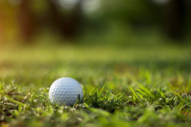 Golfbal ligt op een groen gazon in een prachtige golfbaan