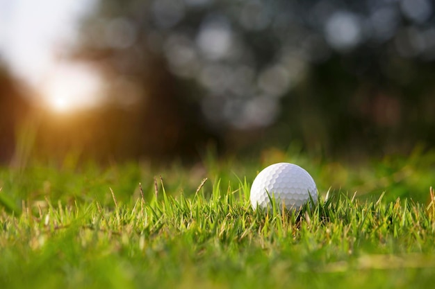 Golfbal ligt op een groen gazon in een prachtige golfbaan