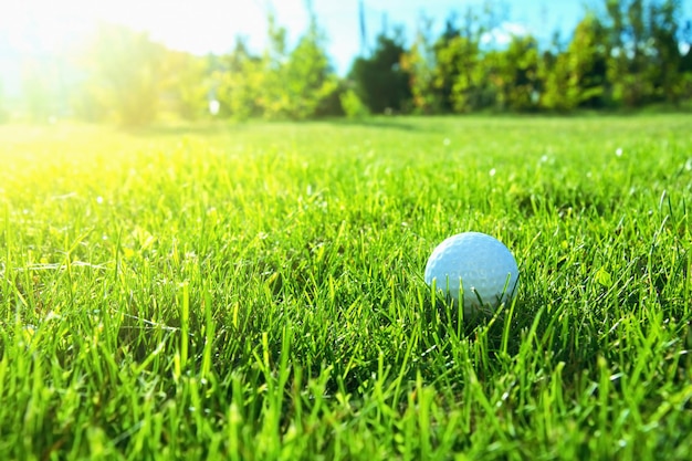 Golfbal met kopieerruimte