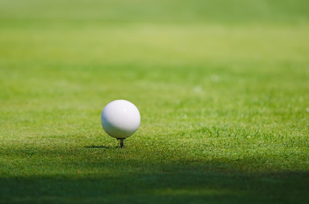 Golfbal op de groene gazonachtergrond, zonnig natuurlijk sportbeeld. Concurrentie, prestatie en doelconcept.