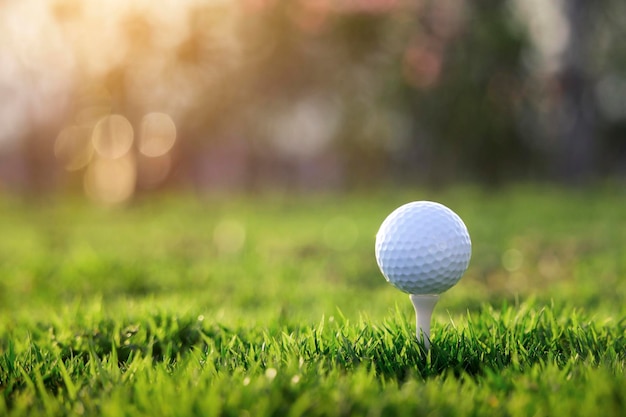 Golfbal op tee in een prachtige golfbaan met ochtendzon