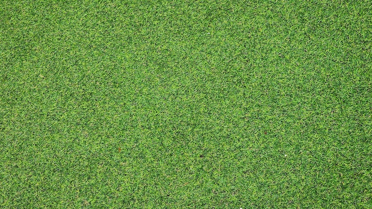 Foto golfbanen groen grasveld patroon gestructureerde achtergrond golfbaan groen grasveld patroon